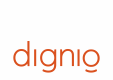 DIGNIO Organisation logo